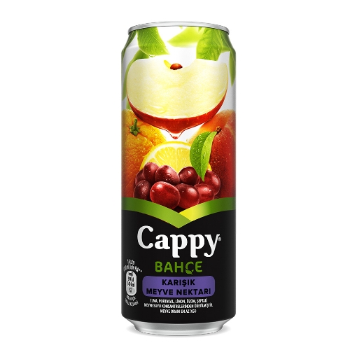 Cappy Meyve Suyu Karışık 330 ML. ürün görseli