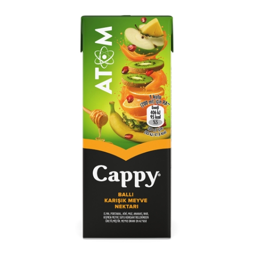 Cappy Atom Can Meyve Suyu 250 ml.. ürün görseli
