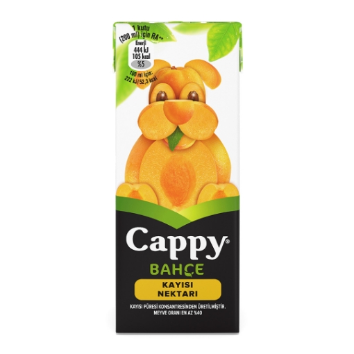 Cappy Kayısı Kutu Meyve Suyu 250 ml.. ürün görseli