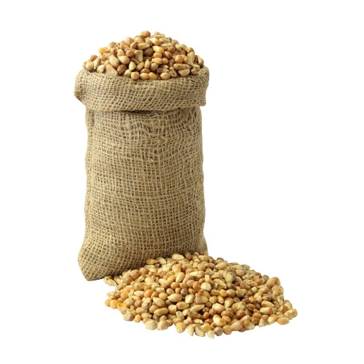 Mısır Kavurgası Kg.  ( Kuruyemiş ). ürün görseli
