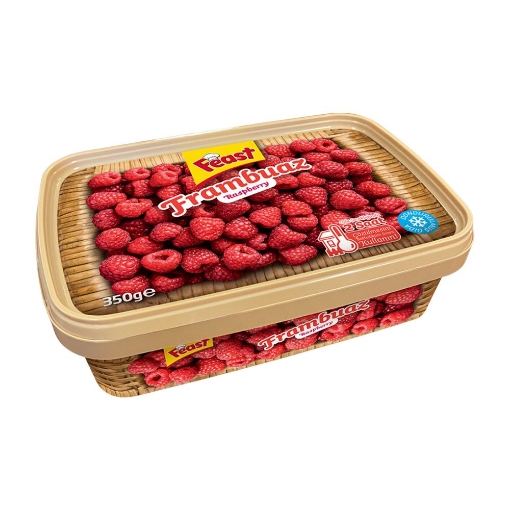 Feast Dondurulmus Frambuaz 350 Gr. ürün görseli