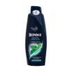 Blendax Şampuan 500ml Erkek Mentollü. ürün görseli