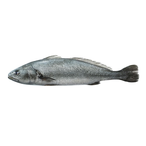 Kaya Levrek Kg. ürün görseli