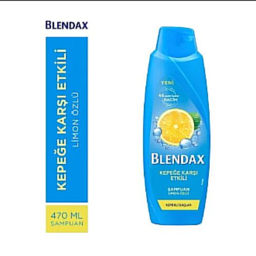 Blendax Kepeğe Karşı Şampuan 470ml. ürün görseli