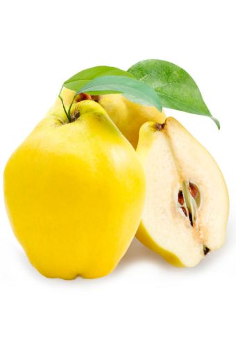 Ayva Kg. ürün görseli