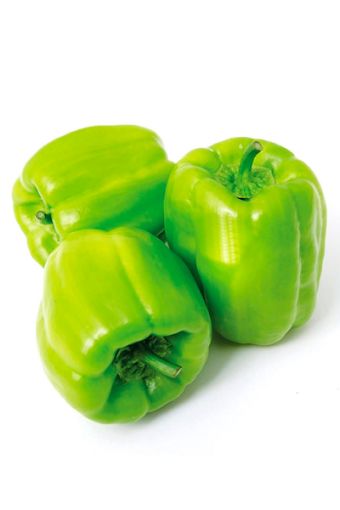 Biber Dolma Kg. ürün görseli