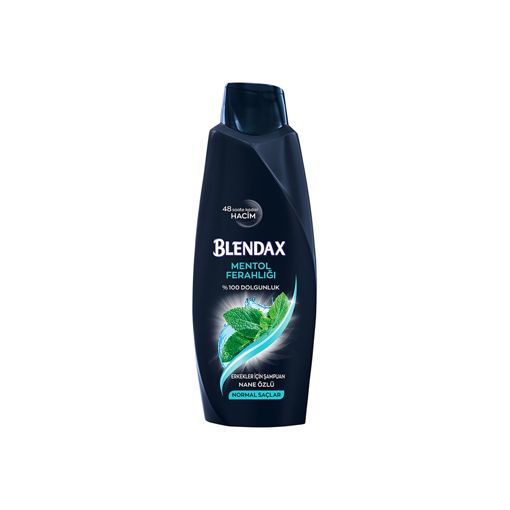 Blendax Erkek Kepek Şampuan 500 ml. ürün görseli