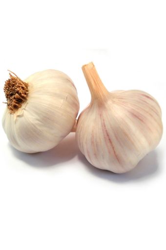 Sarımsak Kg. ürün görseli