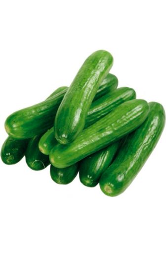 Salatalık Silor Kg. ürün görseli