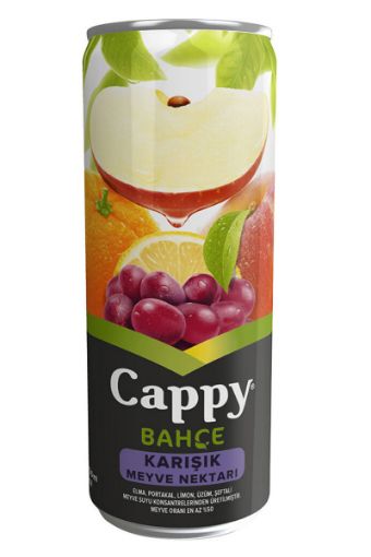 Cappy Karışık Meyve Suyu Nektarı 330ml. ürün görseli