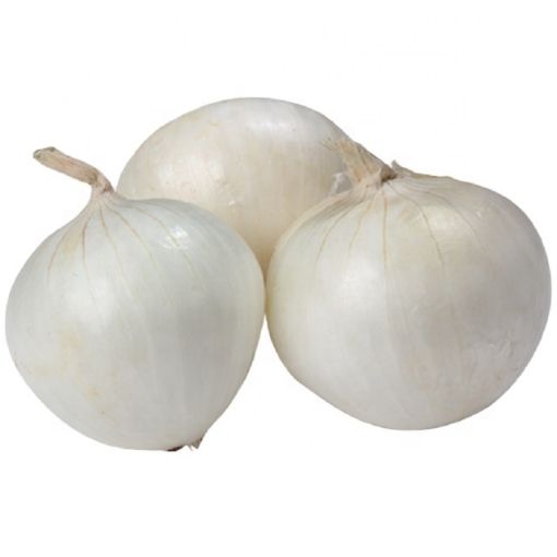 SM BEYAZ SOGAN KG. ürün görseli