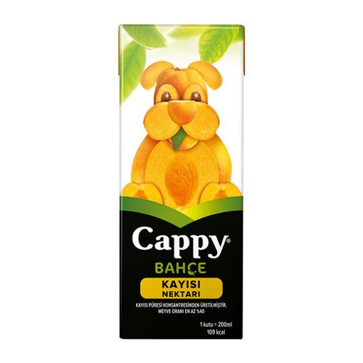 Cappy Kayısı 200 ml. ürün görseli