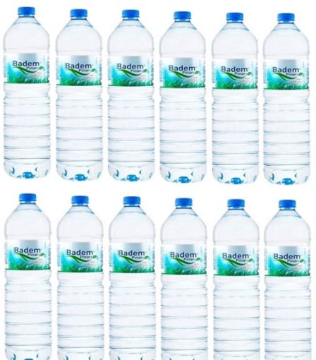 Badempınarı Su 0,5 Lt 12li. ürün görseli