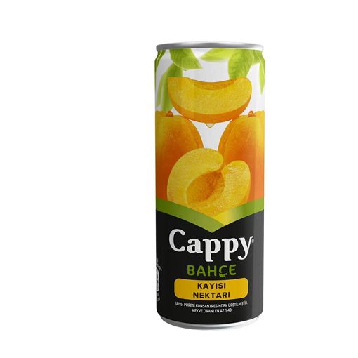 Cappy Bahçe Kayısı Meyve Suyu 250 ml. ürün görseli