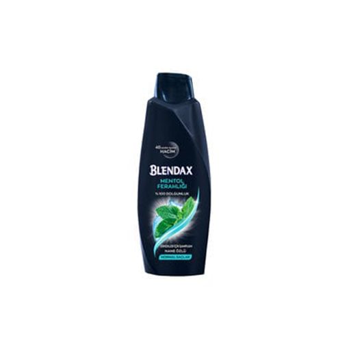 Blendax Erkek Mentollü Şampuan 500 ml. ürün görseli