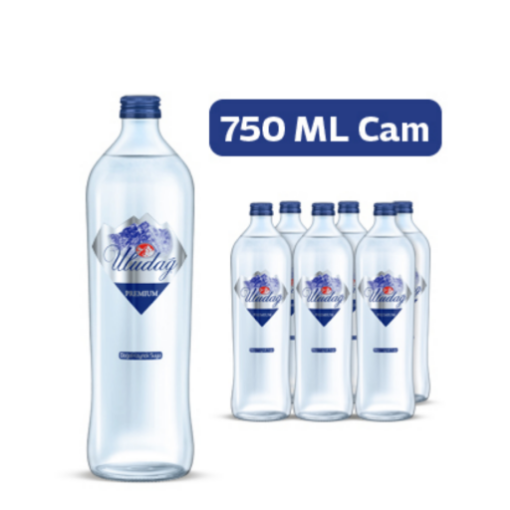 Uludağ Premium Doğal Kaynak Suyu 6x750 ml
. ürün görseli