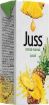 Juss İçecek 200Ml Ananas. ürün görseli