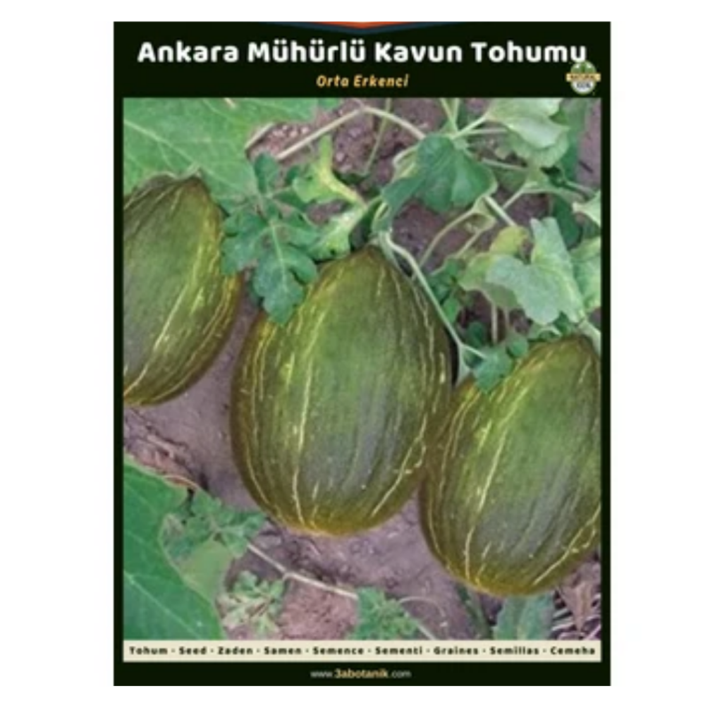 Ürün Fotoğrafı