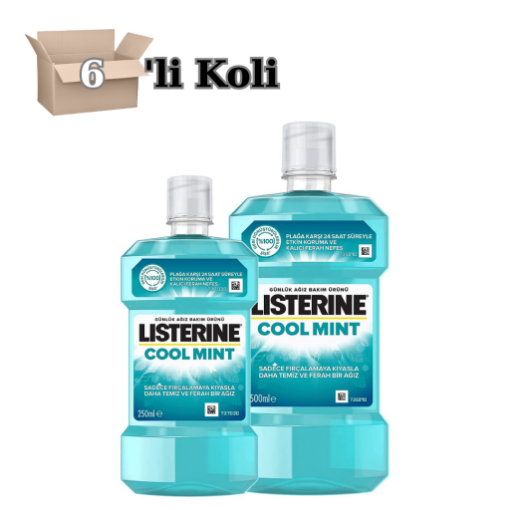 Listerine Cool Mint Ağız Bakım Suyu 500+250ML 6'lı. ürün görseli