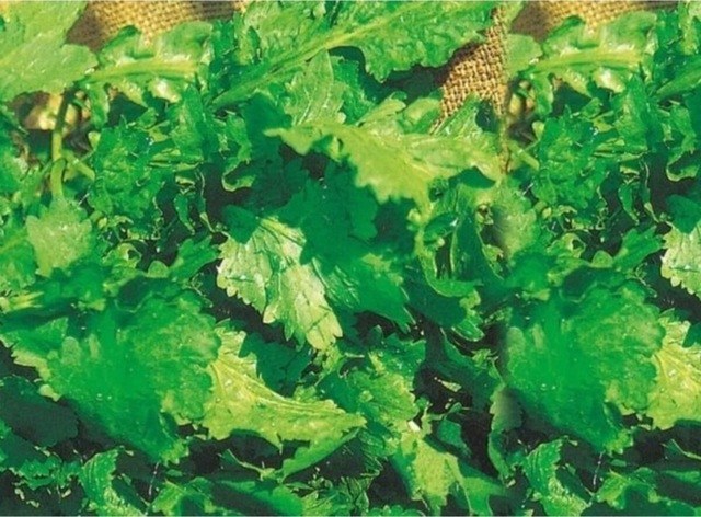 Ürün Fotoğrafı